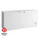 Ларь морозильный FR605 SL Tefcold